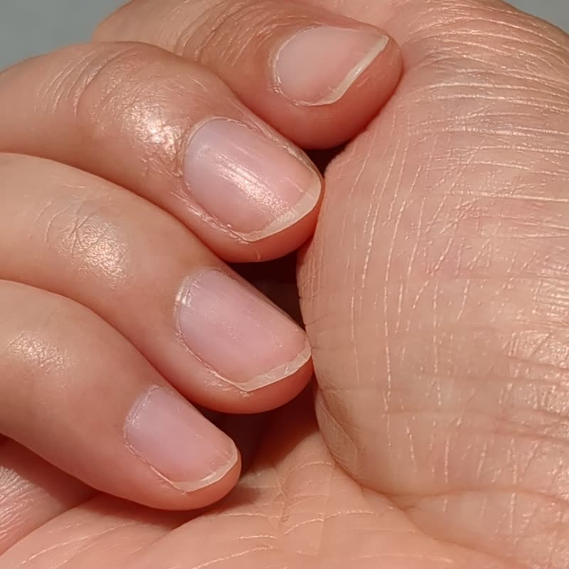 繁体字版　可融化书本礼物/戒指/蓝雏菊/自由尺寸 - 戒指 - 塑料 蓝色