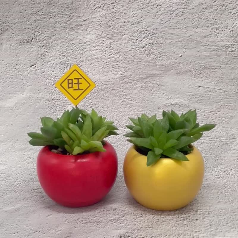 苹安招金-多肉植物招财开运盆栽(附新年花插摆件) 定制化礼物 - 植栽/盆栽 - 木头 红色