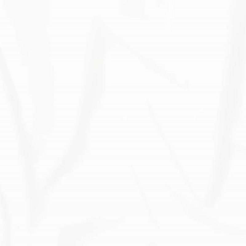 Borea 圆滚滚零钱包 S/Mx6种皮革x12种线色 免费刻名 刺绣 日本製 - 零钱包 - 真皮 橘色