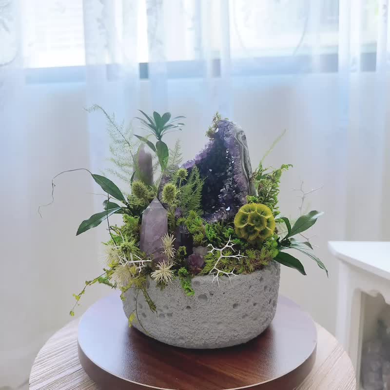 丰城旷野紫水晶森林。永生叶材绿植栽 - 植栽/盆栽 - 水晶 紫色