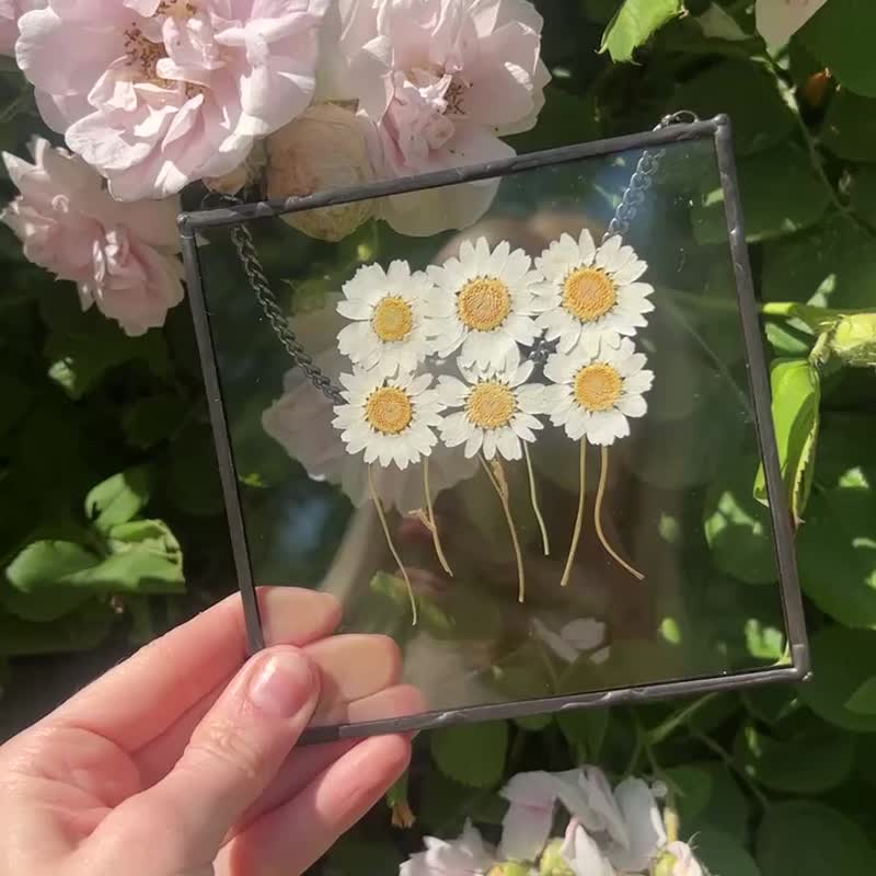 玻璃框中压花雏菊 | 手作花艺 - 墙贴/壁贴 - 玻璃 黄色