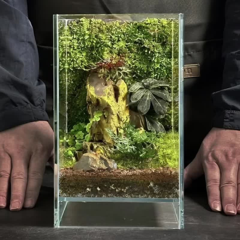 苔壁听雨 / 定制化造景生态盆微景观 - 植栽/盆栽 - 植物．花 