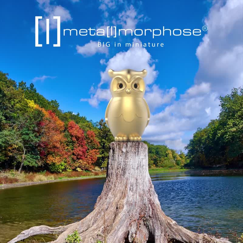 【Metalmorphose】MTM猫头鹰钥匙圈 吊饰/礼品/动物/交换礼物 - 吊饰 - 其他金属 金色