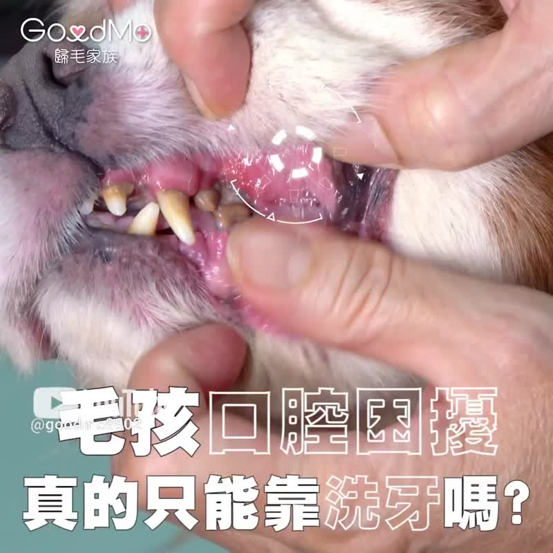宠物一口好牙－齿留香 益菌口腔液1入 - 其他 - 其他材质 