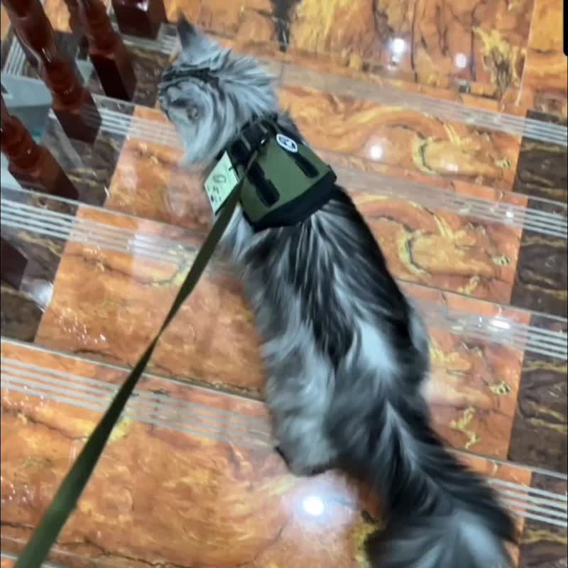 OneTigris 猫胸带(附拖绳) - 衣/帽 - 尼龙 多色