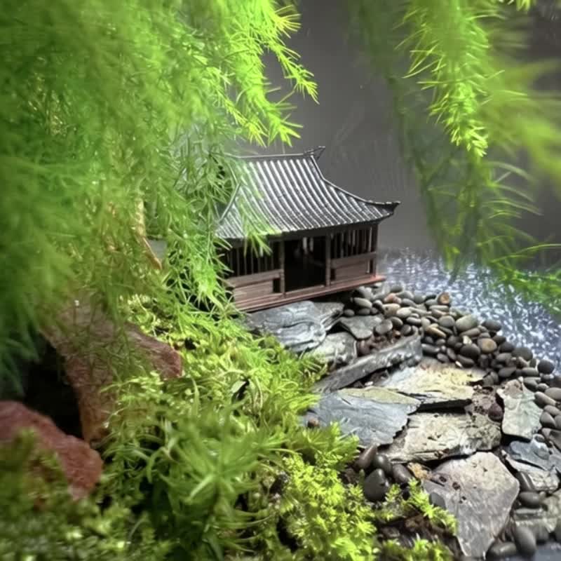 幽斋之思 / 手工定制化微景观生态盆 - 植栽/盆栽 - 植物．花 