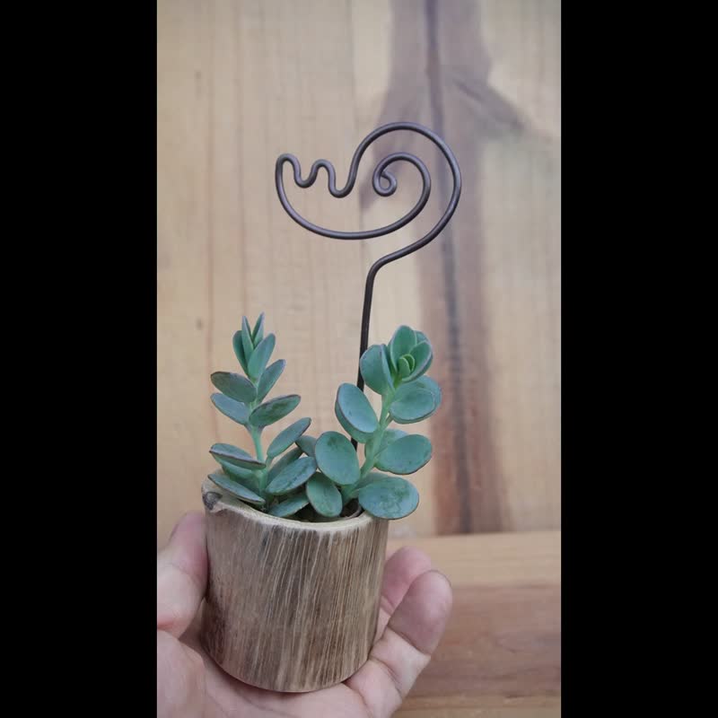 自然风原木多肉盆栽附铝插牌---绿设工作室 - 植栽/盆栽 - 木头 