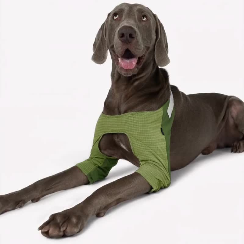 bump up【Elbow Pad】宠物狗狗中大型犬护肘衣服时尚轻薄透气 - 衣/帽 - 尼龙 绿色