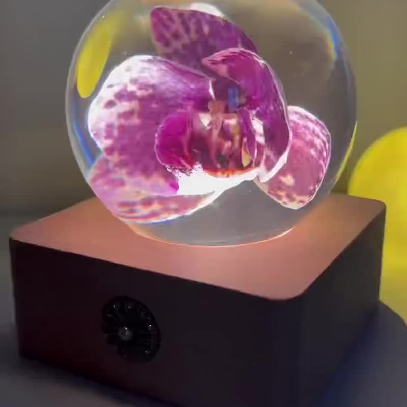 紫绯斑点兰|米奇蝴蝶蘭水晶球夜灯 - 摆饰 - 树脂 紫色