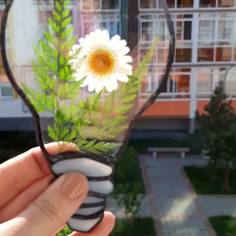 洋甘菊  干花框架  压花框架  彩色玻璃。太阳镜 - 摆饰 - 植物．花 多色