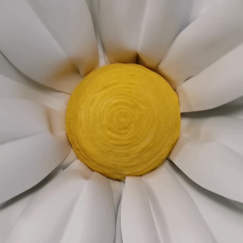 巨型雏菊。大白花。大甘菊。巨大的花。婴儿送礼会。展示柜 - 其他 - 其他材质 