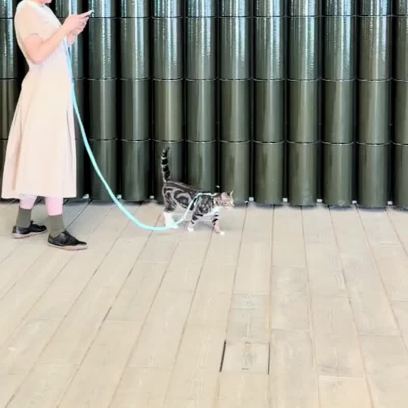 【专为猫奴设计】多功能牵引绳 - 姜猫橘 - 项圈/牵绳 - 尼龙 橘色