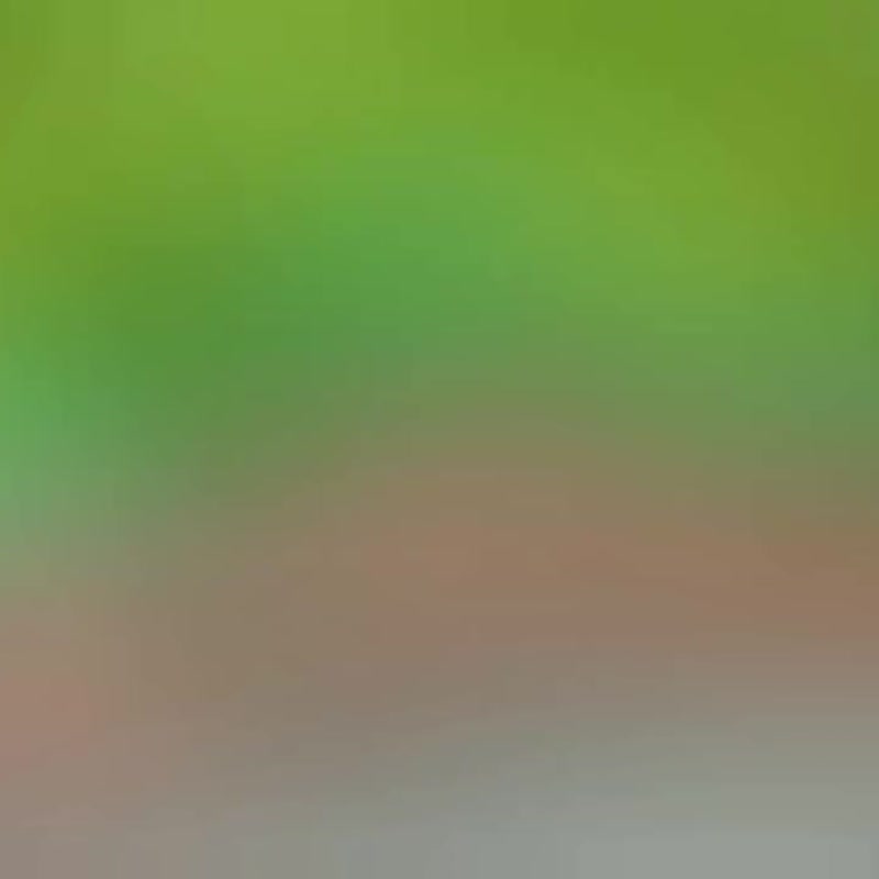 可爱的曼德拉草 - 植栽/盆栽 - 其他材质 多色