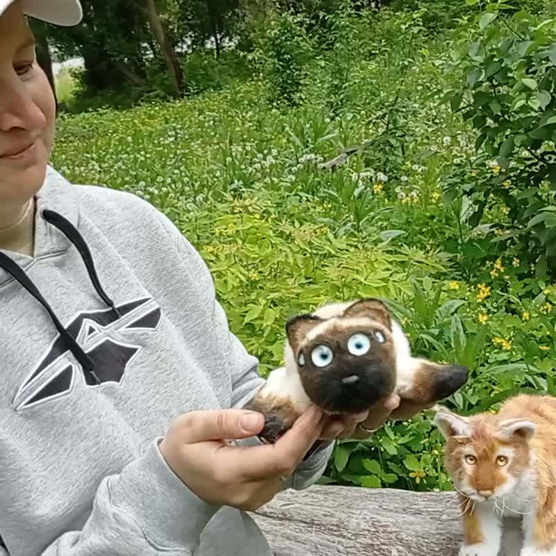 Cat-spider, spider-cat or spidercat? Realistic kitten spider. Teddy Bear friends - 玩偶/公仔 - 其他人造纤维 咖啡色