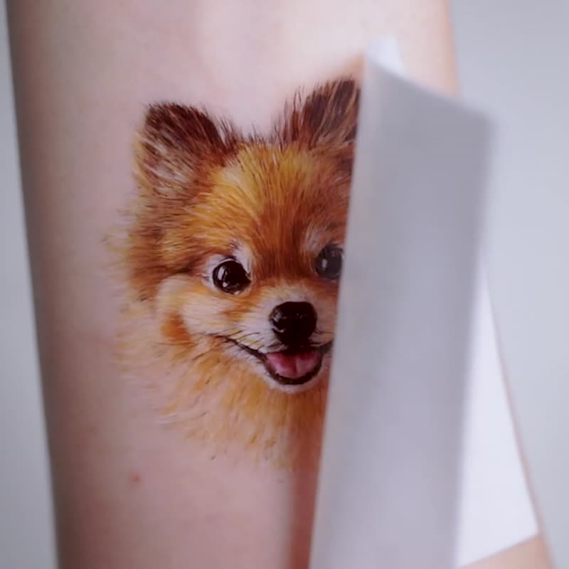 松鼠狗博美犬 刺青纹身贴纸水印贴 小型犬狗仔宠物头像手绘插画 - 纹身贴 - 纸 黄色
