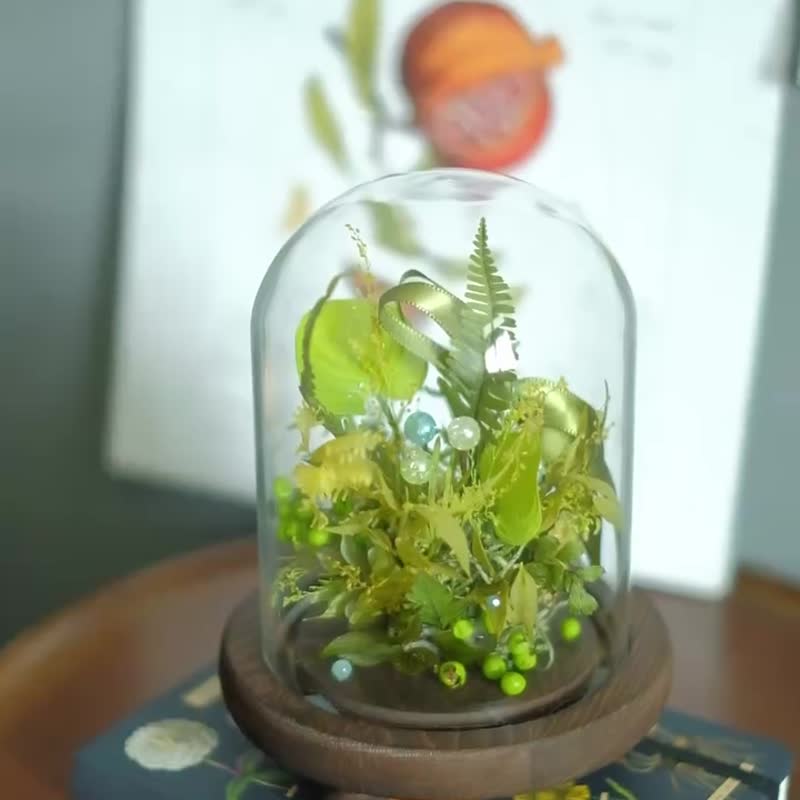 【现货】森林系 永生花玻璃盅罩 蝴蝶珍珠 乔迁送礼 居家摆饰 绿 - 干燥花/捧花 - 植物．花 绿色