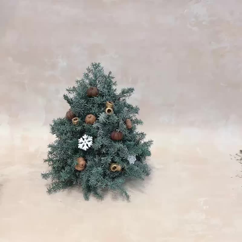 【疗园】迷你永生圣诞树材料包  手做材料包 圣诞节 - 干燥花/捧花 - 植物．花 绿色