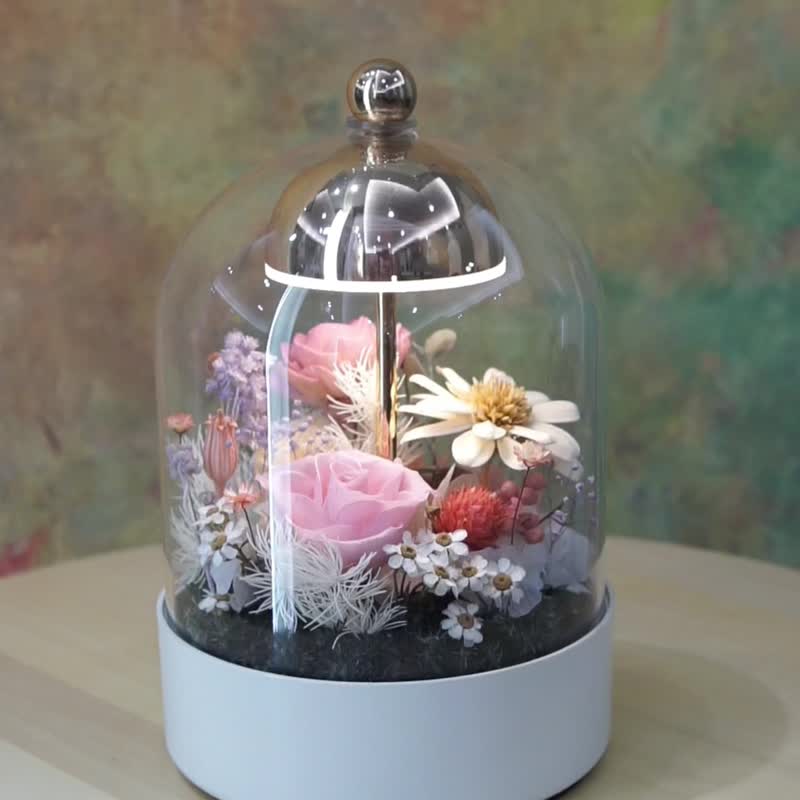 玻璃盅罩 LED 触控永生花灯 - 柔光花室 - 干燥花/捧花 - 植物．花 多色