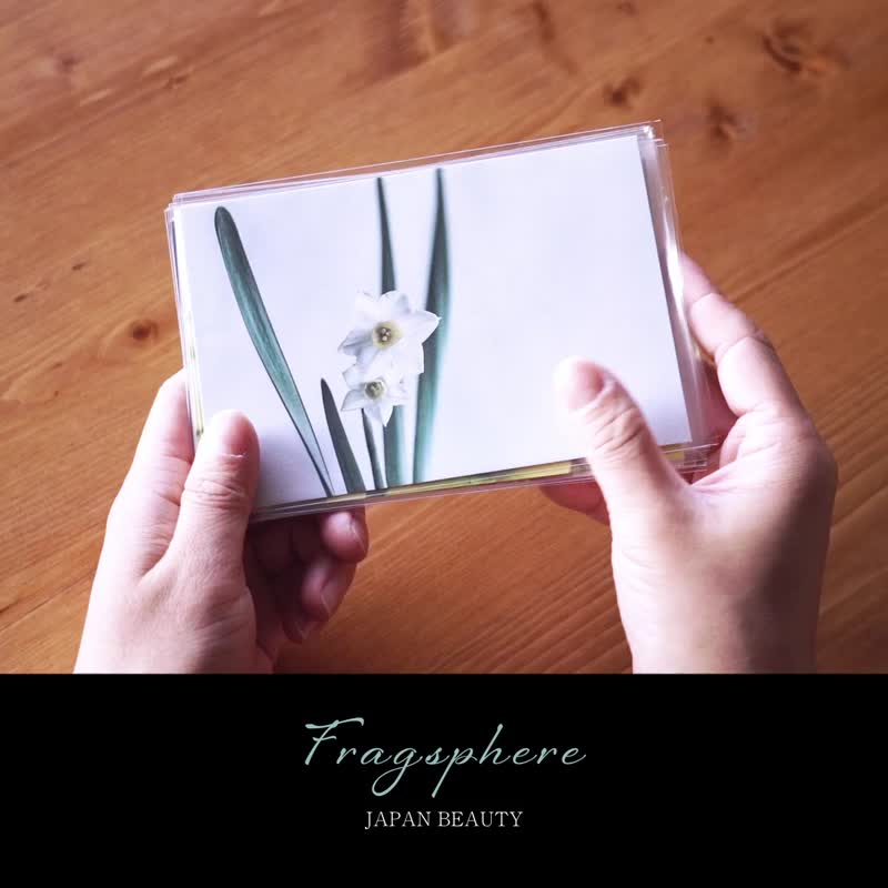 Fragsphere花痴信件套装，为您的感受增添色彩，附信封，10 件套，明信片尺寸，日本制造，FLP-001B - 卡片/明信片 - 纸 