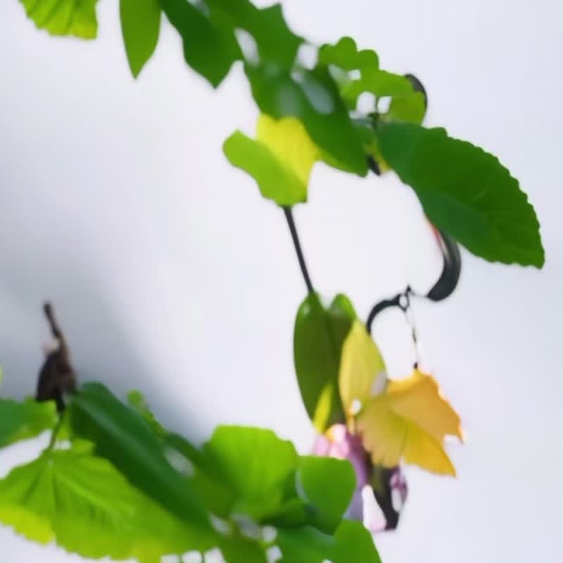 蕨稳手机架-亚洲猴脑鹿角蕨| 钥匙圈 手机架 手机座 母亲节 礼物 - 钥匙链/钥匙包 - 压克力 多色
