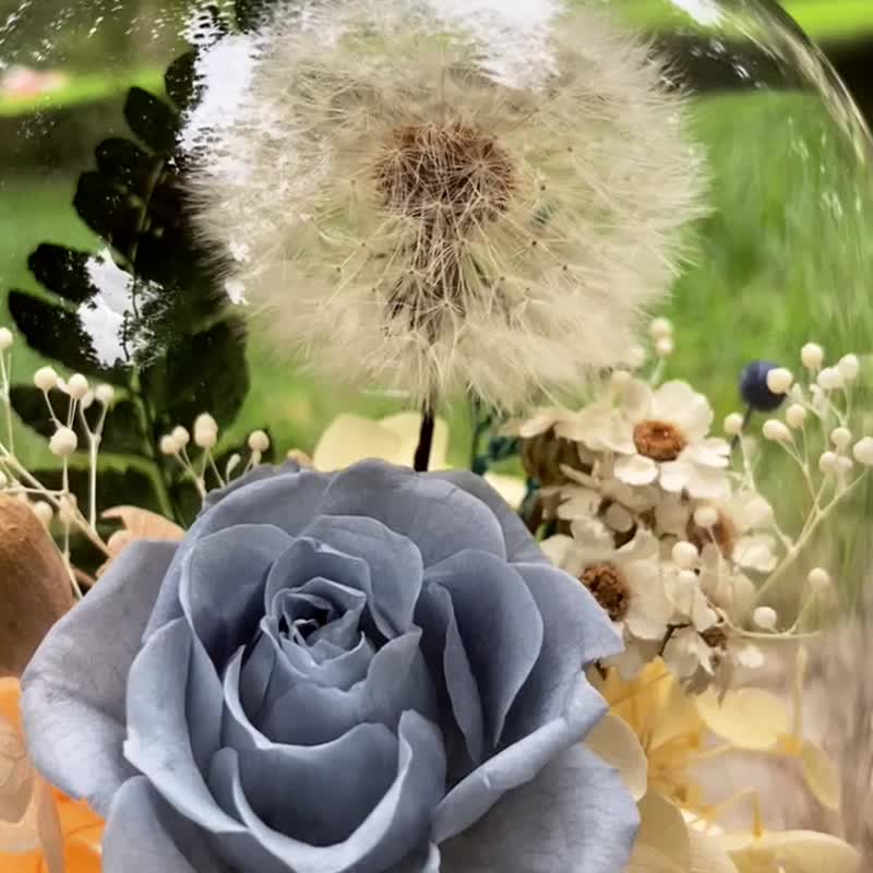 蓝精灵蒲公英夜灯钟罩 永生花/蒲公英/毕业季/毕业礼物/夜灯/不凋 - 干燥花/捧花 - 植物．花 蓝色