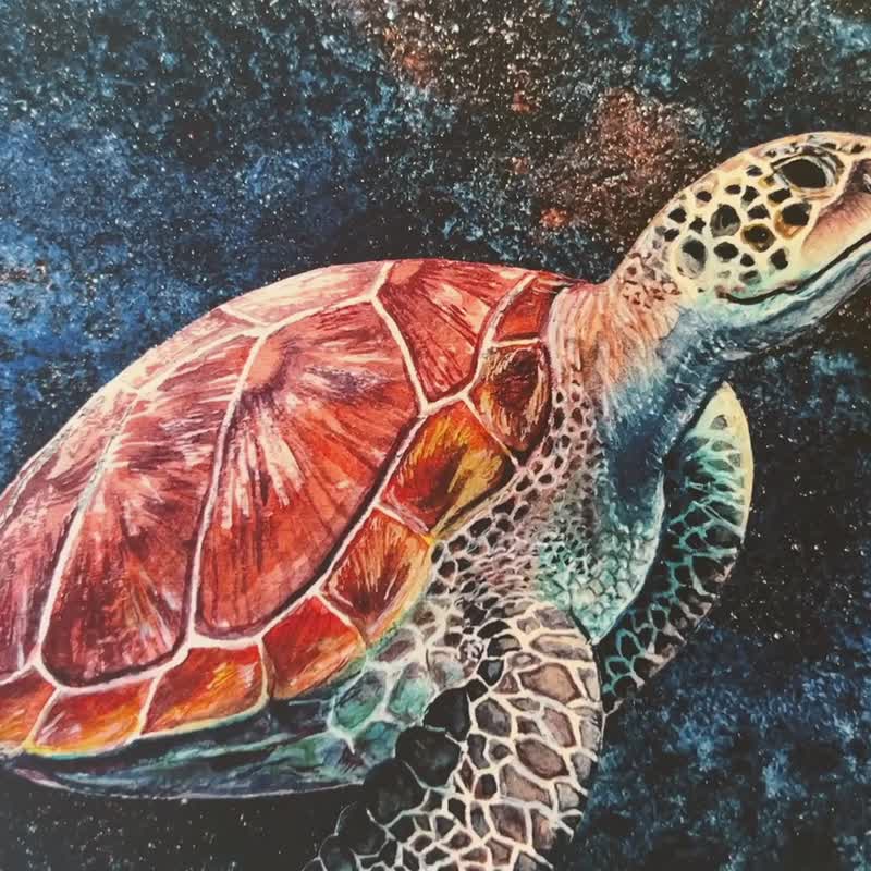 水彩世界 • 海龟 - 大自然/海洋/海底世界/海洋生物/海龟/水族馆 - 海报/装饰画/版画 - 其他材质 多色