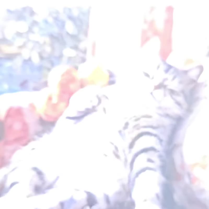 鹿特丹睡猫-晶雕吸水陶瓷杯垫 - 杯垫 - 陶 白色