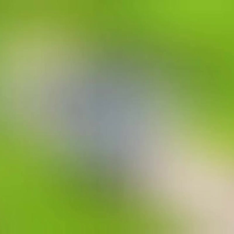 Bird & Bone 发簪 01 100% 手工制作，聚合物黏土材质 - 发饰 - 其他材质 灰色