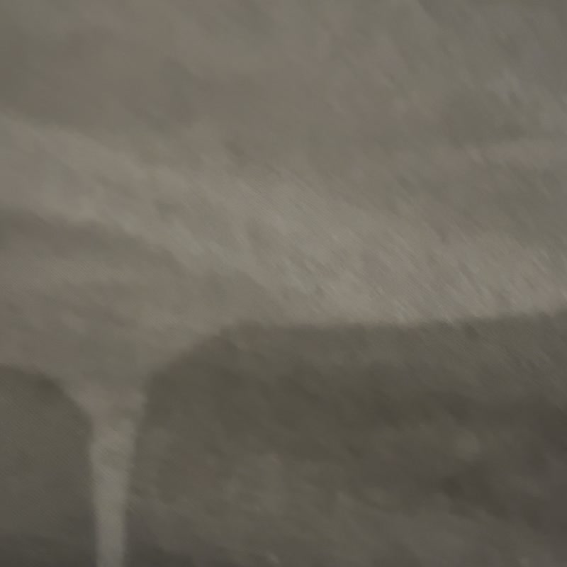 北欧瑞典Teddykompaniet Cream黄金幼犬 - 玩偶/公仔 - 聚酯纤维 