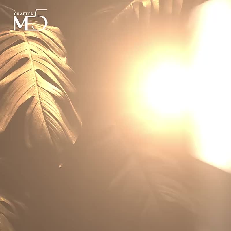 【ME5】E021 微米角质锉 - 其他 - 不锈钢 