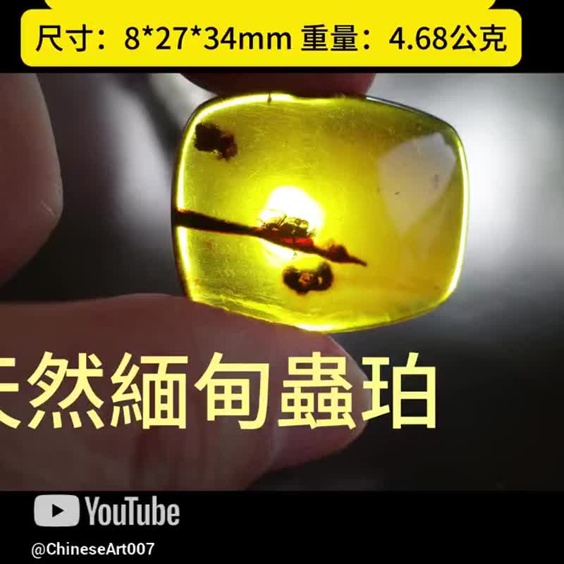 天然缅甸琥珀 虫珀 4.68克 Amber 金珀 原石 琥珀 白垩纪 时空胶 - 吊饰 - 半宝石 金色