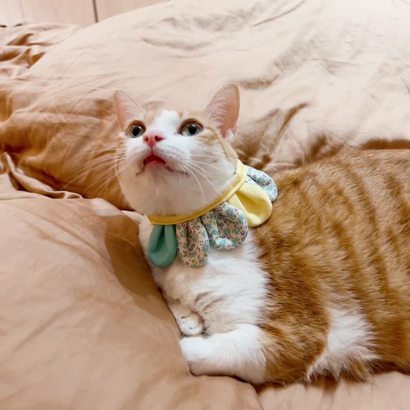 MaoFenBiBi 偷偷的暗恋 - 立体花瓣项圈 & 手工项圈 - 项圈/牵绳 - 棉．麻 