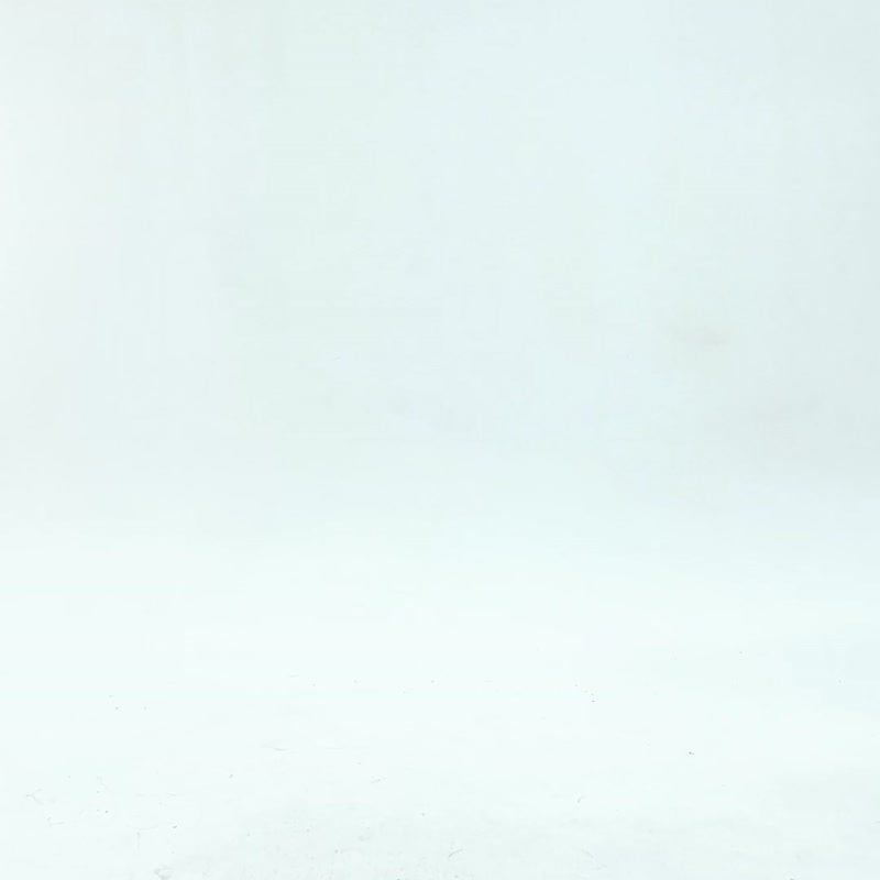 动物涂鸦蓝色外套 /大象 狮子 鳄鱼 河马 - 女装休闲/机能外套 - 棉．麻 蓝色