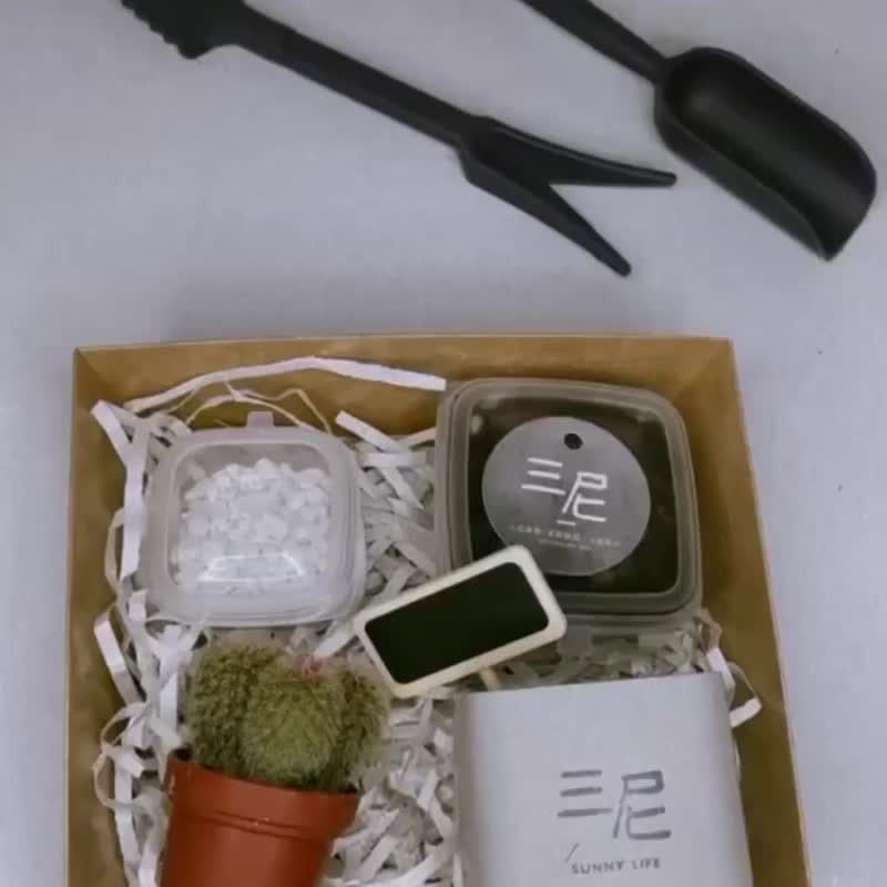 【DIY材料包】多肉植物水泥盆DIY礼盒 / 交换礼物 / 圣诞礼物 - 植栽 - 水泥 多色