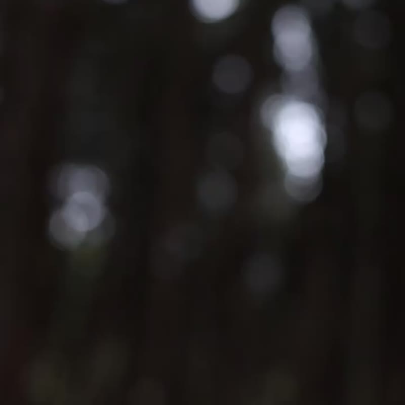 防水压胶冲锋衣 三防户外工装夹克 防风外套山系登山服 - 男装外套 - 其他材质 黑色