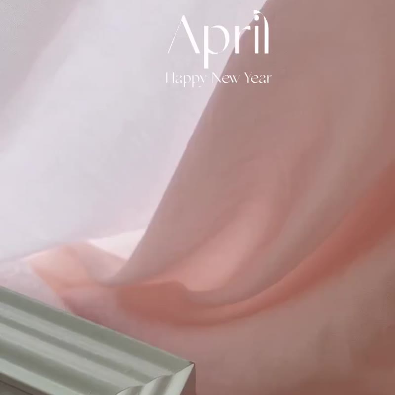 【相框宝盒】永生花玫瑰洁白相框宝盒 可定制 母亲节礼物 - 干燥花/捧花 - 植物．花 