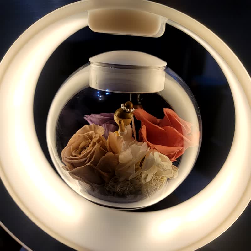 【Emma.K】永生花悬浮台灯 / 定制化礼物 - 灯具/灯饰 - 植物．花 