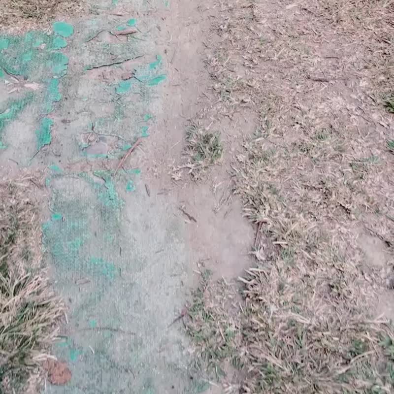 日桧木叉子雕刻组 - 木工/竹艺/纸艺 - 木头 卡其色