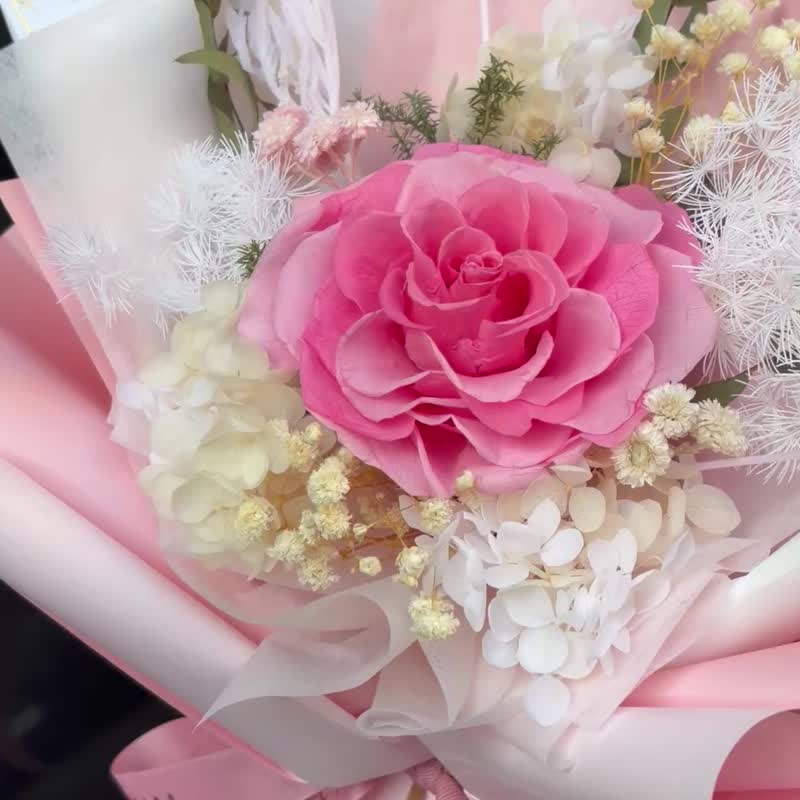 粉色单朵 XXL 号永生花束 - 干燥花/捧花 - 植物．花 粉红色