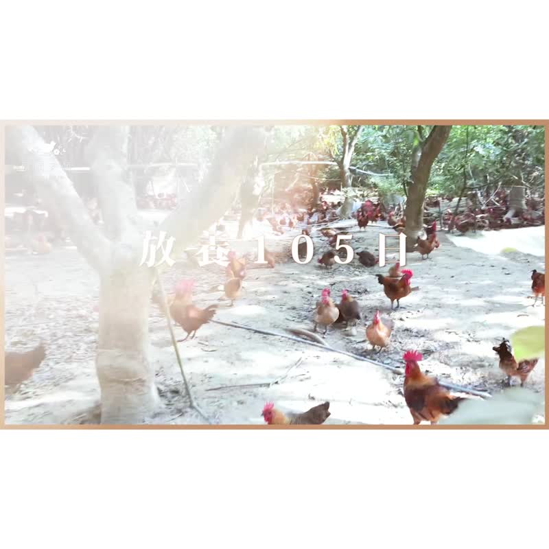 【快速出货】冷冻 | 美颜滴鸡精礼盒10入 / 65ml 怀孕月子补品 - 健康/养生 - 浓缩/萃取物 白色