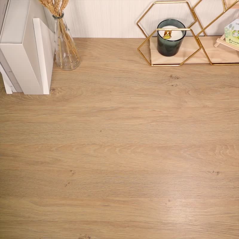 Save Local Bees A4 胶文件夹连贴纸 - 文件夹/资料夹 - 塑料 多色