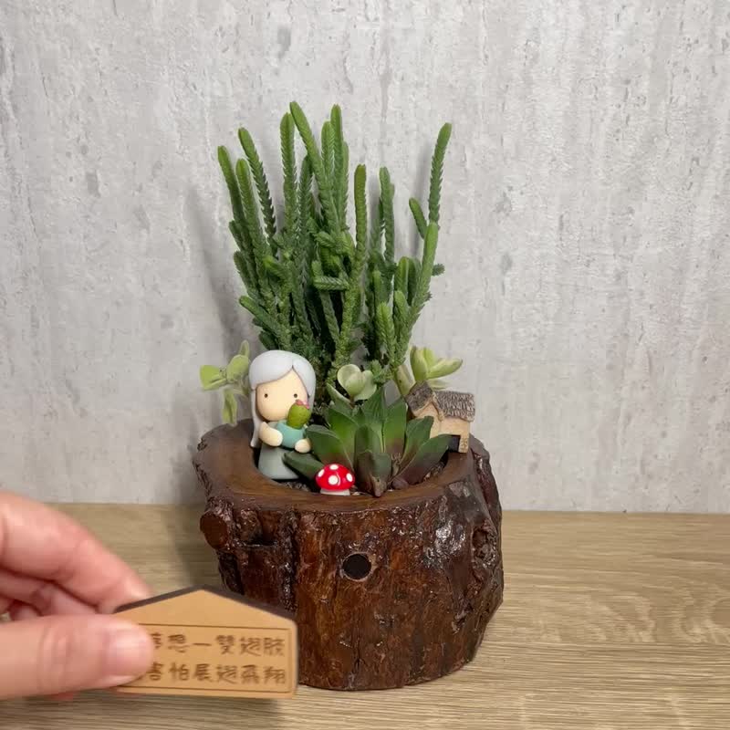 私藏生活-多肉植物微景观原木盆栽(附磁铁字牌) 定制化礼物 - 植栽/盆栽 - 木头 绿色