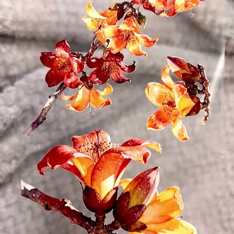 154 毕业季木棉花Graduation Kapok - 纸胶带 - 塑料 多色