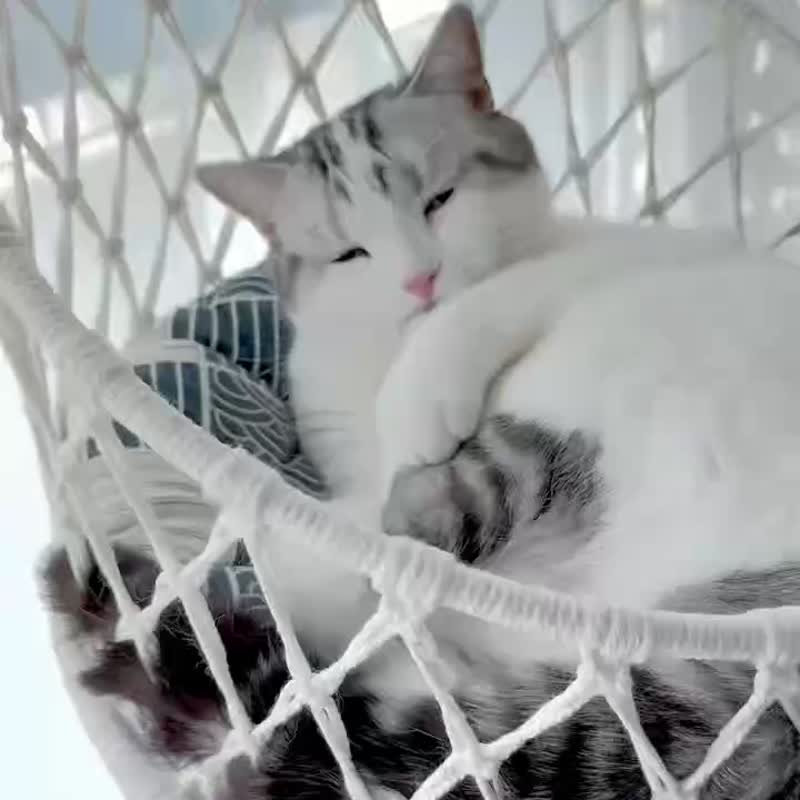 猫咪空中花园 手工编织猫窝 猫吊篮 猫床 买就送猫玩具球盲盒 - 床垫/笼子 - 棉．麻 白色