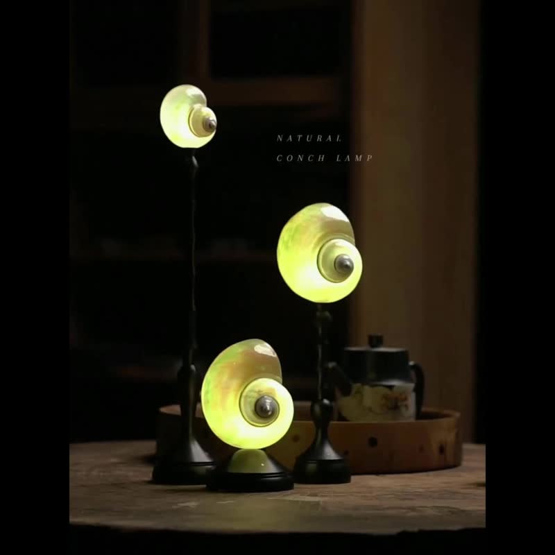 ZUOY 佐佑木灯 天然海螺檀木无线台灯 -天然海螺月光系列- - 灯具/灯饰 - 木头 