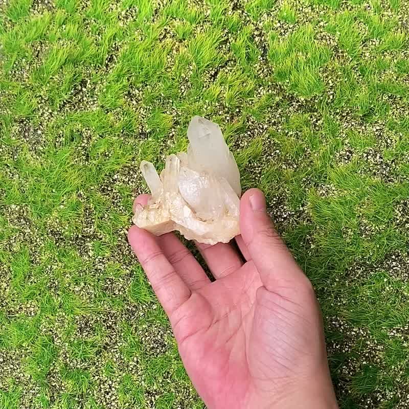 天然原矿菠萝双生白水晶簇 开运 可消磁手链 快速出货 入厝礼物 - 摆饰 - 水晶 白色