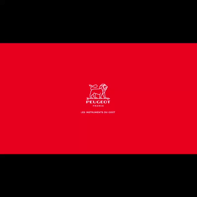 【法国制造】Peugeot Paris u'select 巴黎 石墨色 胡椒磨坊 40cm - 调味罐/酱料瓶 - 木头 