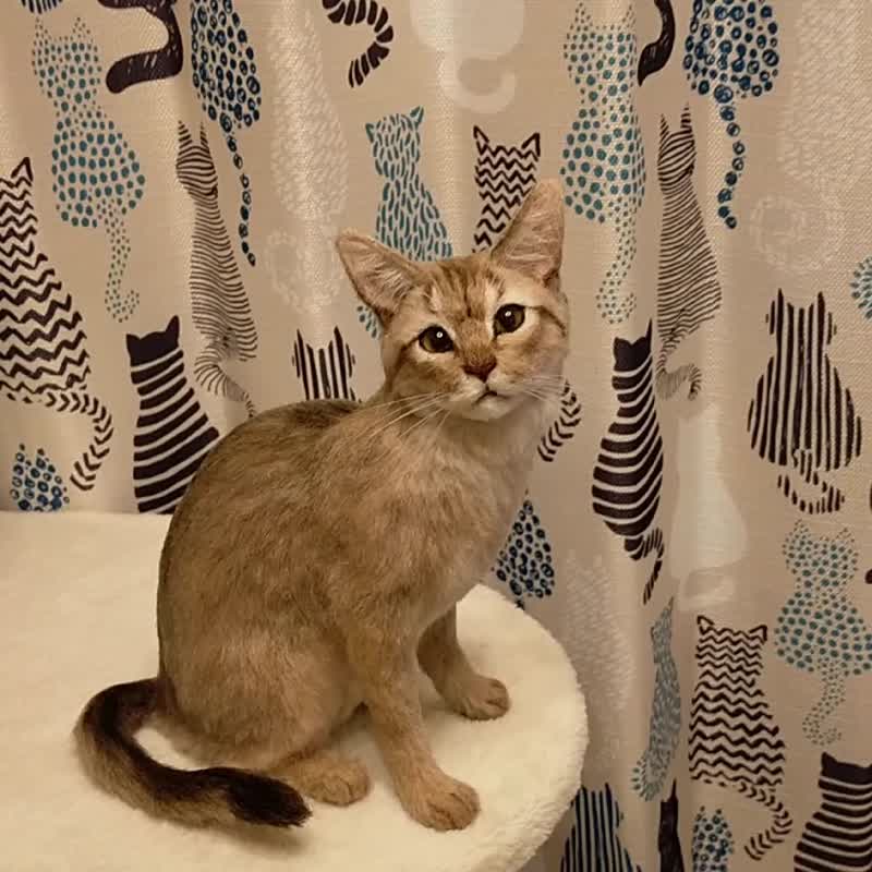 与我家孩子如出一辙订制羊毛毡毛刺作品 - 订制抱枕/饰品 - 羊毛 