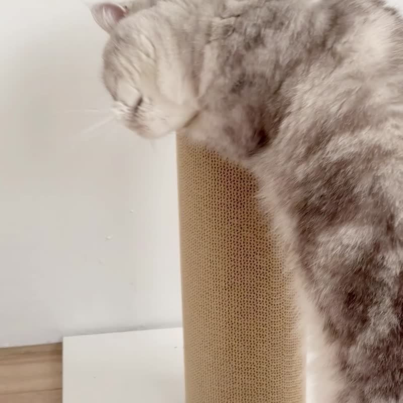 【安阁家】瓦楞猫抓柱 - 清新白 (赠送纯天然木天蓼) / 台湾制造 - 抓板/跳台 - 纸 白色