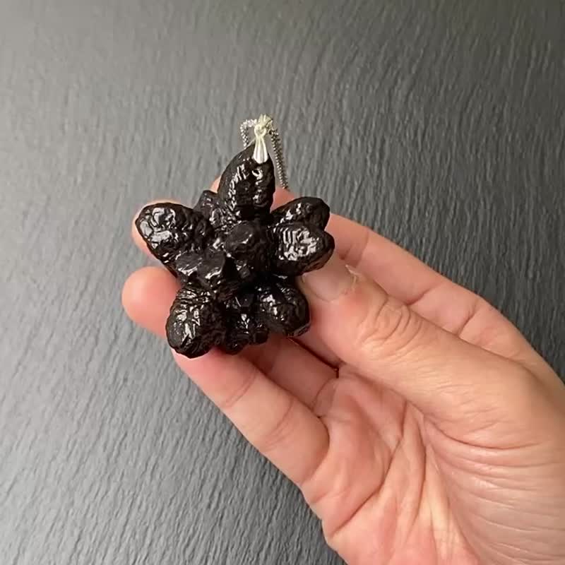 能量原石-精选埃及预言石 上帝沟通石 天机石 925纯银钛钢项链 - 项链 - 水晶 多色